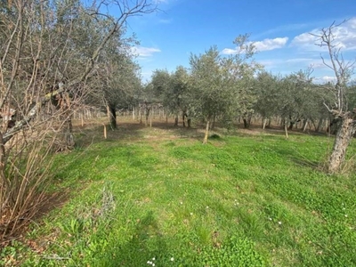 Terreno Agricolo in vendita a San Cesareo via di Colle Chiuso
