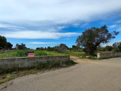 Terreno Agricolo in vendita a Sannicola contrada Mauri