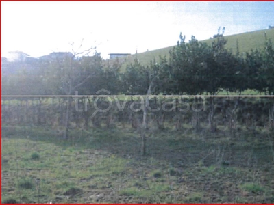 Terreno Agricolo in vendita a Sant'Omero via Metella Nuova