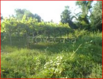 Terreno Agricolo in vendita a Vacri ss263