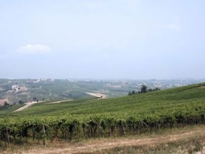 Terreno Agricolo in vendita a Ziano Piacentino