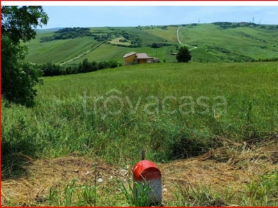 Terreno Agricolo in vendita ad Ariano Irpino contrada Camporeale