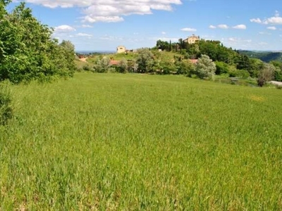 Terreno Edificabile in vendita a Castrocaro Terme e Terra del Sole via bagnolo