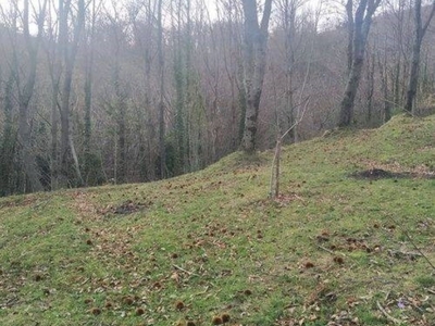 Terreno Residenziale in vendita a Monteforte Irpino via Acquolella