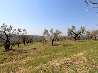 Terreno Residenziale in vendita a Montelibretti via rosce, 1