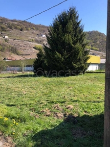 Terreno Residenziale in vendita a Teglio via Valgella Marantelli, 1