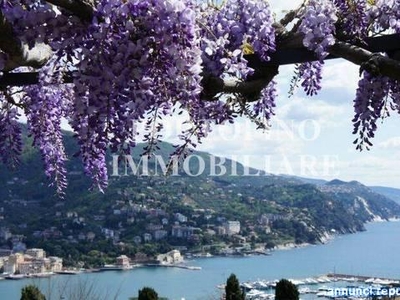 Ville, villette, terratetti Rapallo Via Langano cucina: A vista,