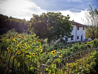 Appartamento con giardino privato sul terreno della fattoria biologica