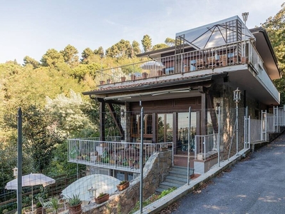 Appartamento in Versilia immerso nella natura con terrazza panoramica