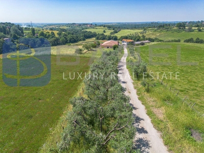 azienda agricola in vendita a Riano