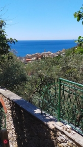 Casa indipendente in Affitto in Via Sessarego a Bogliasco