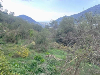 Terreno edificabile in Vendita ad San Biagio della Cima - 95000 Euro