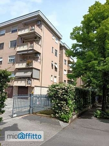 Appartamento arredato con terrazzo Cittadella