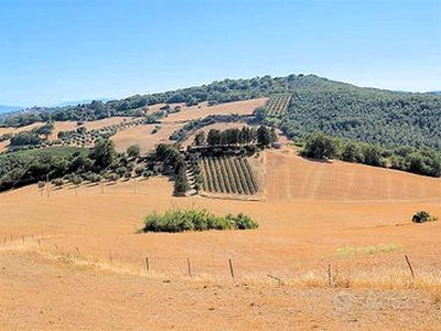 Azienda agricola in posizione collinare e panor...