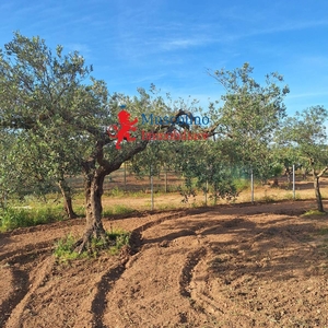 Terreno agricolo in vendita a Mazara Del Vallo