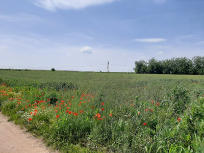 terreno residenziale in vendita a Valeggio sul Mincio