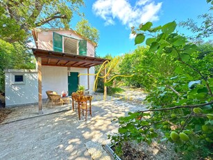 Casa indipendente con giardino a Bibbona