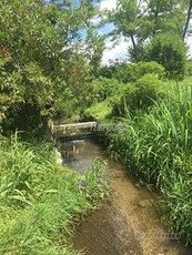 CERCHI UN BEL TERRENO AGRICOLO?