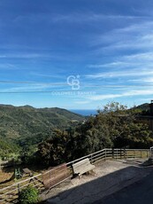 Quadrilocale in vendita a Montecorice - Zona: Cosentini