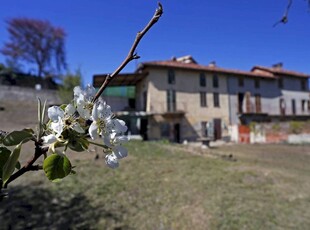 Rustico / Casale in vendita a Montechiaro d'Asti