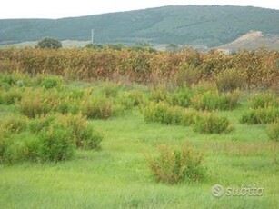Sant'anna arresi - agricolo terreno in zona reside