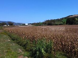 Terreno agricolo a Castelfidardo