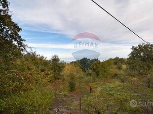 Terreno agricolo a Piedimonte etneo