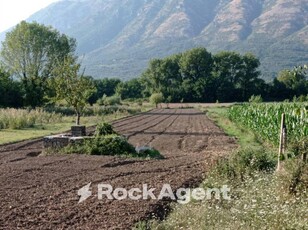 terreno agricolo in vendita a Rotondi