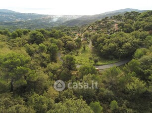 Terreno agricolo in Vendita in Località Merea a Diano Arentino