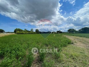 Terreno agricolo in Vendita in Strada Provinciale 9 a Monte Roberto