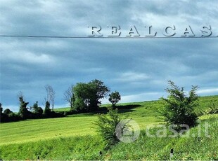 Terreno agricolo in Vendita in Via Adriatica 22 a Castelfidardo