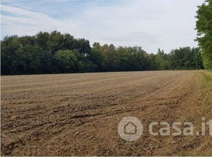 Terreno agricolo in Vendita in Via Caprera a Castello di Godego