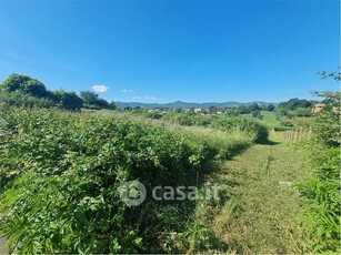 Terreno agricolo in Vendita in Via Colle Sfiamma 1 a San Cesareo