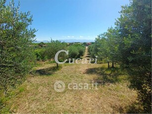 Terreno agricolo in Vendita in Via di Fontana Candida a Monte Porzio Catone