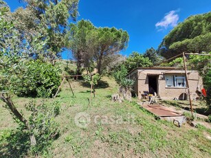 Terreno agricolo in Vendita in Via Felice Tazzini a Civitavecchia