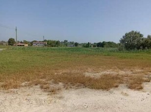 Terreno agricolo in Vendita in Via Marina a Taglio di Po