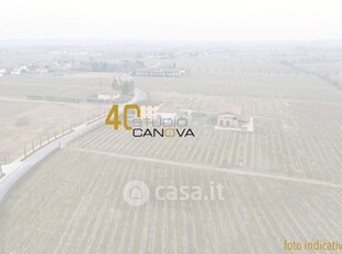 Terreno agricolo in Vendita in Via Nespoledo a Lestizza