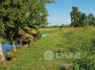 Terreno agricolo in Vendita in Via Postumia Centro a San Biagio di Callalta