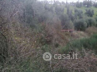 Terreno agricolo in Vendita in Via Voltiggiano a Montespertoli