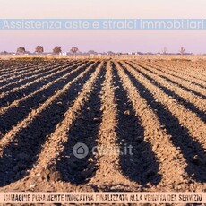 Terreno agricolo in Vendita in Vicolo Bassano del Grappa a Muggiò