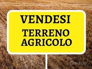 Terreno Agricolo Vigodarzere [0493241015VCG]