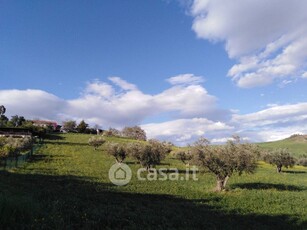 Terreno edificabile in Vendita in Contrada Piano delle Vigne a Casoli