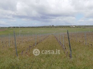 Terreno edificabile in Vendita in Strada senza nome a Sambuca di Sicilia