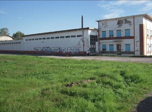 Terreno Edificabile Residenziale in vendita a Noceto