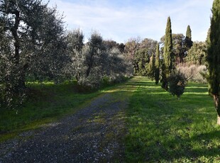Terreno in vendita a Gambassi Terme