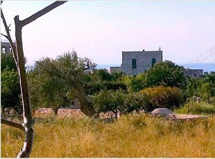 Vendita Rustico/Casale Ostuni