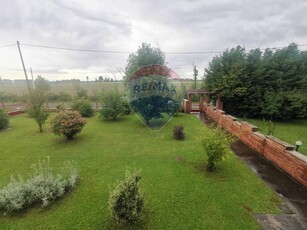 Villa Bifamiliare in vendita a Ferrara - Zona: Boara