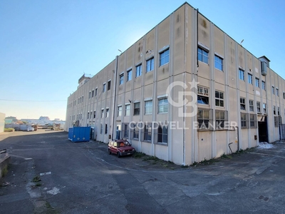 Capannone industriale in affitto a Pomezia - Zona: Centro