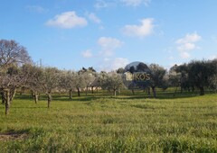 Terreno in vendita a Monopoli