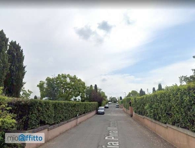 Appartamento arredato con terrazzo Trigoria, spinaceto, tor de cenci, vallerano